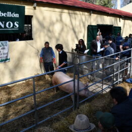 Expo-Prado-2019-Día-10-257