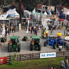 Expo-Prado-2019-Día-10-26