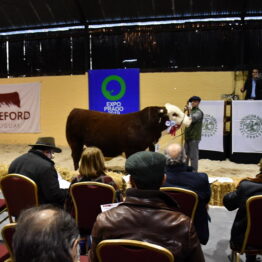 Expo-Prado-2019-Día-10-269