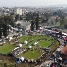 Expo-Prado-2019-Día-10-29