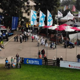 Expo-Prado-2019-Día-10-31