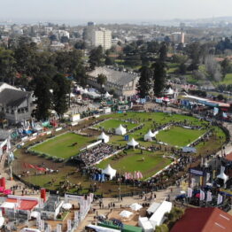 Expo-Prado-2019-Día-10-34