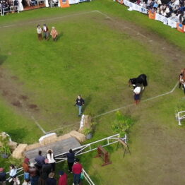 Expo-Prado-2019-Día-10-46