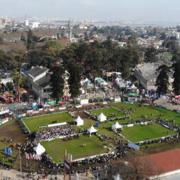 Expo-Prado-2019-Día-10-48