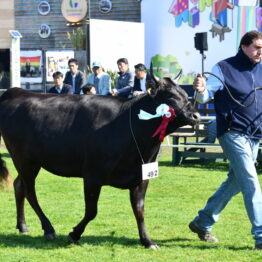 Expo-Prado-2019-Día-10-59