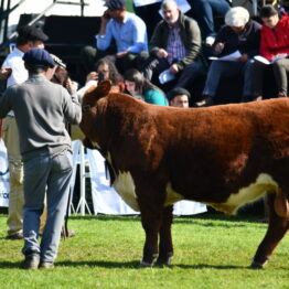 Expo-Prado-2019-Día-10-67