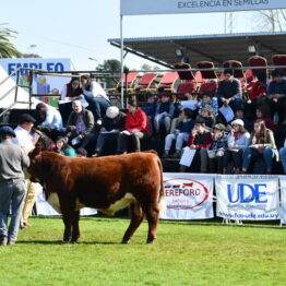 Expo-Prado-2019-Día-10-68