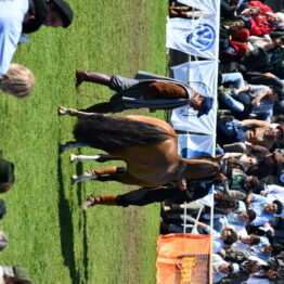 Expo-Prado-2019-Día-10-78