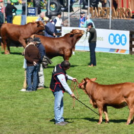 Expo-Prado-2019-Día-10-79