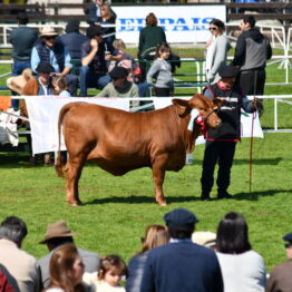 Expo-Prado-2019-Día-10-85