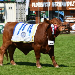 Expo-Prado-2019-Día-10-99