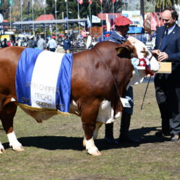 Expo Prado 2019 - Día 11 (103)