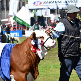 Expo Prado 2019 - Día 11 (104)