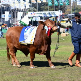 Expo Prado 2019 - Día 11 (105)