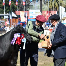 Expo Prado 2019 - Día 11 (107)