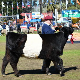 Expo Prado 2019 - Día 11 (108)