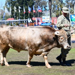 Expo Prado 2019 - Día 11 (111)