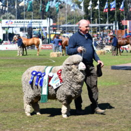 Expo Prado 2019 - Día 11 (128)