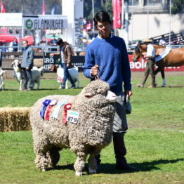 Expo Prado 2019 - Día 11 (129)