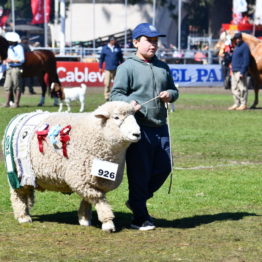 Expo Prado 2019 - Día 11 (131)