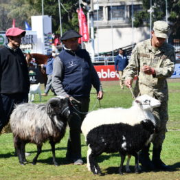 Expo Prado 2019 - Día 11 (133)