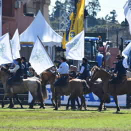 Expo Prado 2019 - Día 11 (163)