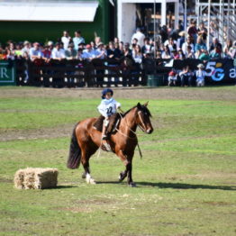 Expo Prado 2019 - Día 11 (170)