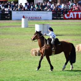 Expo Prado 2019 - Día 11 (171)