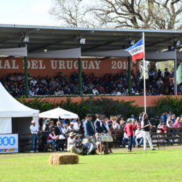 Expo Prado 2019 - Día 11 (177)