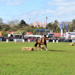 Expo Prado 2019 - Día 11 (178)