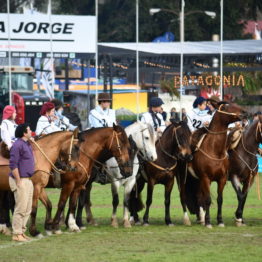 Expo Prado 2019 - Día 11 (185)