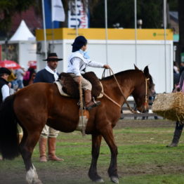 Expo Prado 2019 - Día 11 (187)