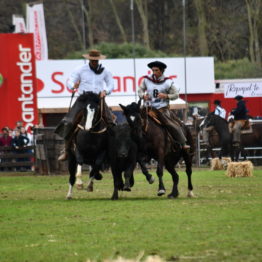 Expo Prado 2019 - Día 11 (203)