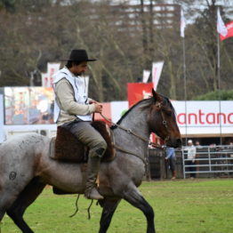 Expo Prado 2019 - Día 11 (208)