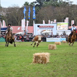 Expo Prado 2019 - Día 11 (209)