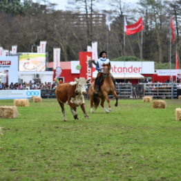 Expo Prado 2019 - Día 11 (210)