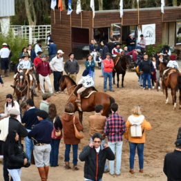 Expo Prado 2019 - Día 11 (216)