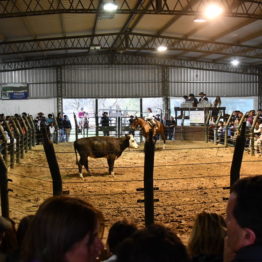 Expo Prado 2019 - Día 11 (219)