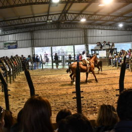 Expo Prado 2019 - Día 11 (221)