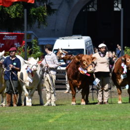 Expo Prado 2019 - Día 11 (76)