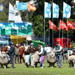 Expo Prado 2019 - Día 11 (78)