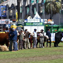 Expo Prado 2019 - Día 11 (80)