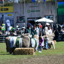 Expo Prado 2019 - Día 11 (81)