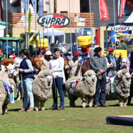 Expo Prado 2019 - Día 11 (87)