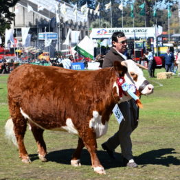 Expo Prado 2019 - Día 11 (89)