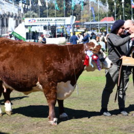 Expo Prado 2019 - Día 11 (91)