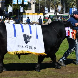 Expo Prado 2019 - Día 11 (92)