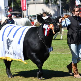 Expo Prado 2019 - Día 11 (93)