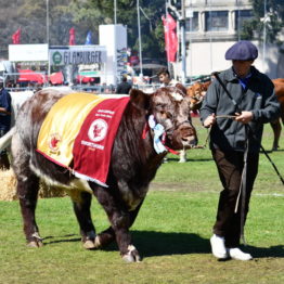 Expo Prado 2019 - Día 11 (94)