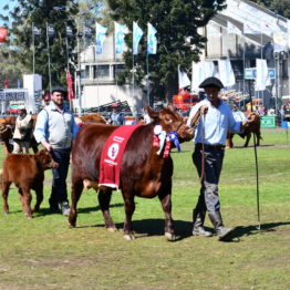 Expo Prado 2019 - Día 11 (95)